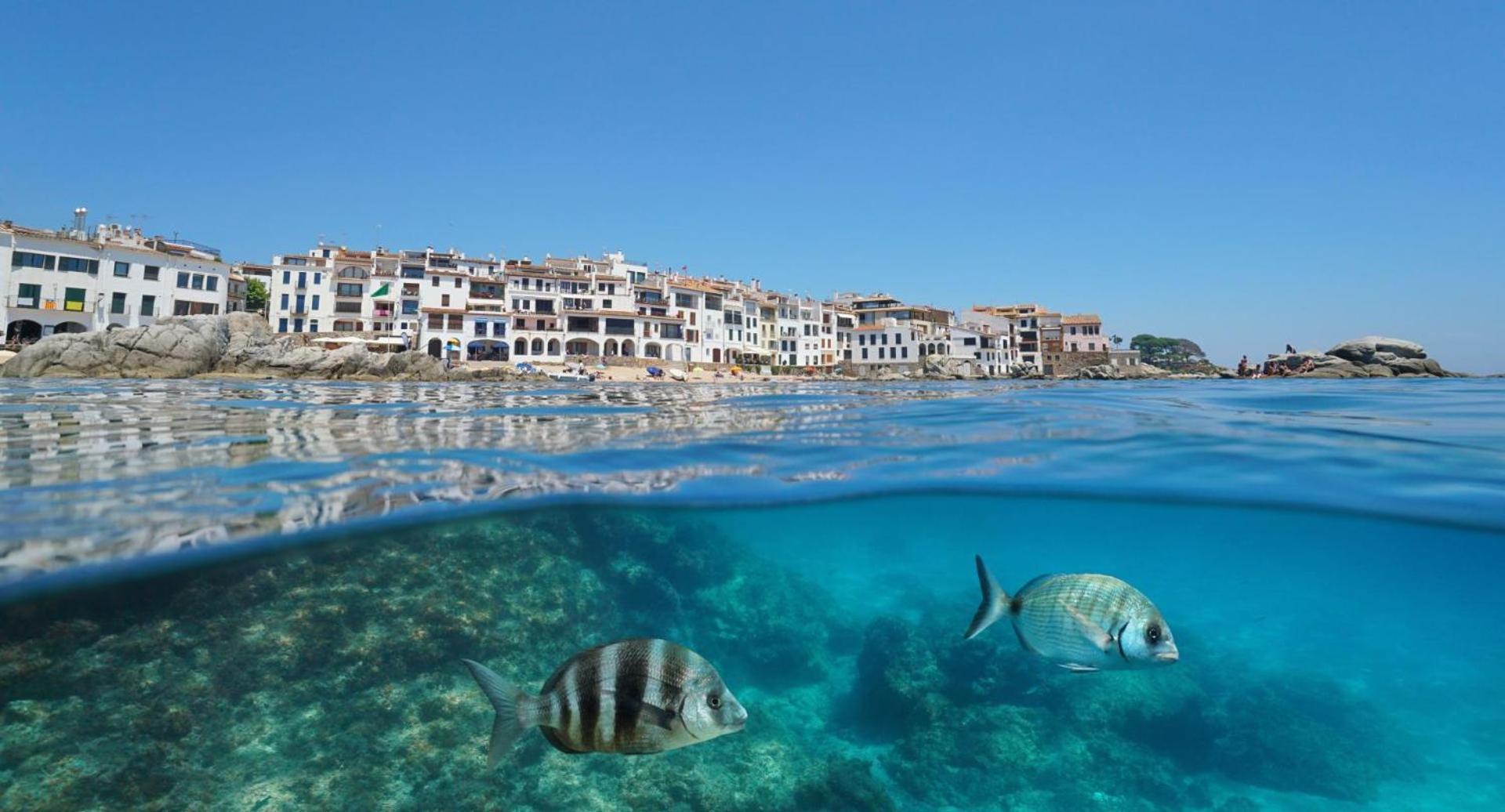 Apartamento Recien Reformado A 300 Metros Del Mar Calella De Palafrugell Bagian luar foto