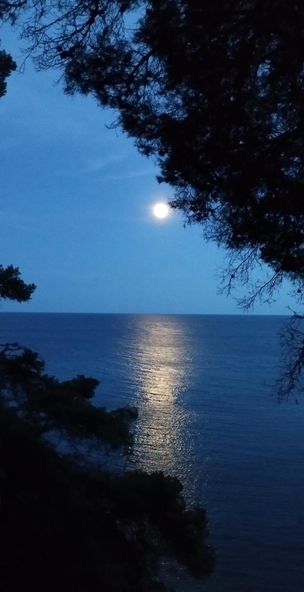Apartamento Recien Reformado A 300 Metros Del Mar Calella De Palafrugell Bagian luar foto